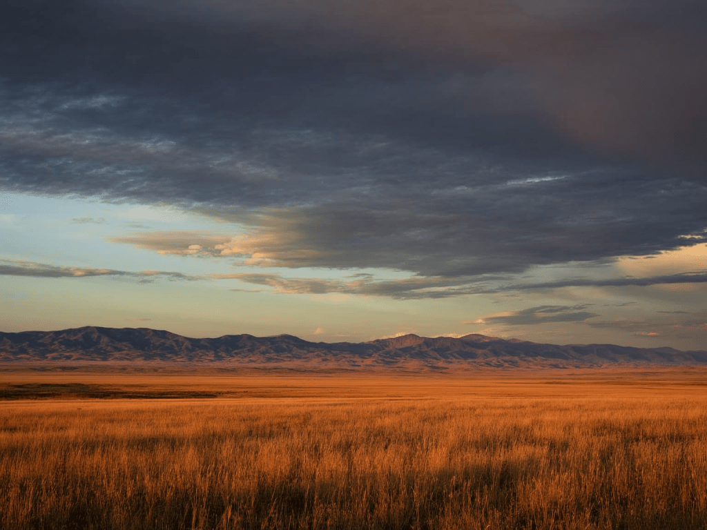 Wyoming landscape at golden hour representing freedom and open space